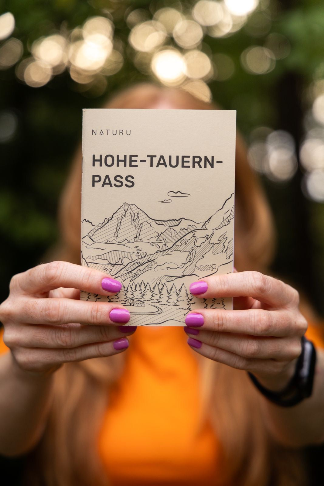 Hohe Tauern Pass